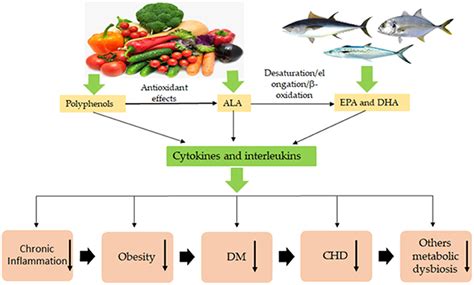 is omega 3 an antioxidant
